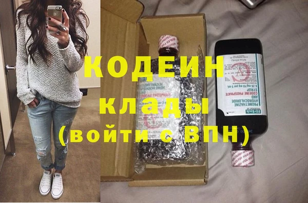 индика Алзамай