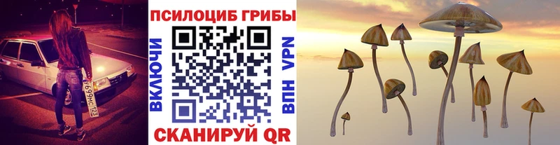 Псилоцибиновые грибы Cubensis  даркнет сайт  Бакал 